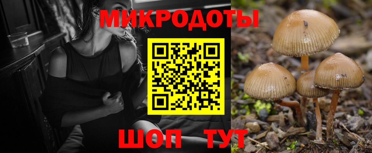 Псилоцибиновые грибы прущие грибы  Псилоцибиновые грибы Psilocybe  Нижнеудинск  Вход с VPN 